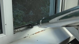 Man Catching Cockroaches Vacuum Cleaner On Stock Footage Video (100% Royalty-free) 1032357020 | Shutterstock