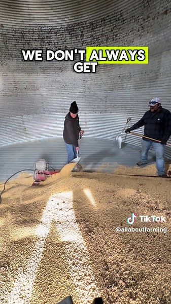 Maximizing Farm Efficiency with Grain Bins