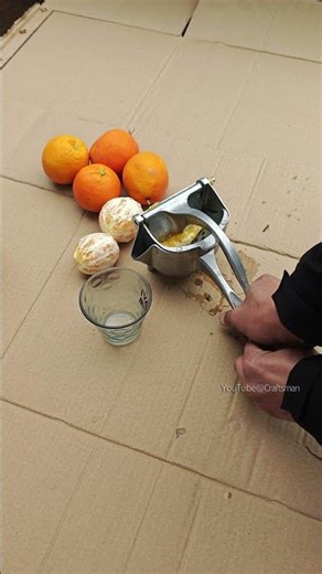 Gadget Review Is This Manual Juicer Worth It