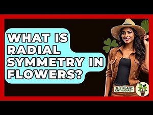What Is Radial Symmetry In Flowers? - The Plant Enthusiast