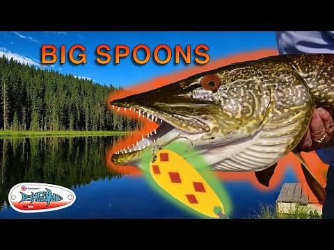 HOW TO CATCH HUGE PIKE WITH A 5" SPOON - 5 of diamonds - Len Thompson