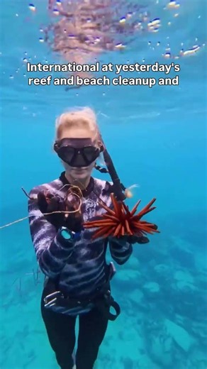 Why Reef Cleanups Matter More Than You Think 🌎🦈 #oceanconservation #hawaii #avi