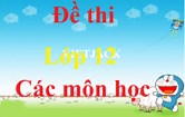 Top 30 Đề thi Học kì 2 Ngữ văn 12 năm 2026 (cấu trúc mới, có đáp án).