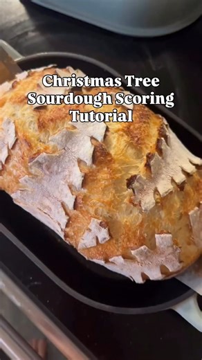 21K views · 379 reactions | Super easy Christmas tree scoring tutorial I did last year! I should've scored a little deeper since the trees split open, but I think it's still pretty!! I can't score for nothin', so I promise if I can do it, you totally can too. #sourdoughscoring #sourdoughchristmas | That Sourdough Gal | Facebook