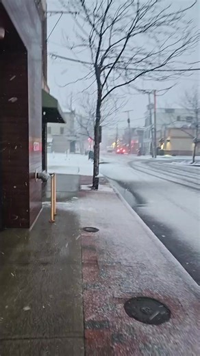 Long Branch Blizzard Walk 2026 #longbranch | Jeremy Sciarappa