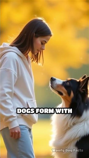 Dogs’ Heartbeats Sync With Their Owners!