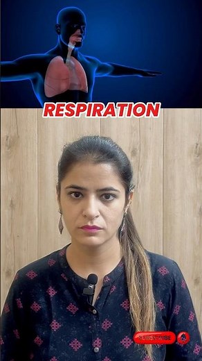 Aerobic vs Anaerobic Respiration Explained | Key Differences in Cellular Respiration