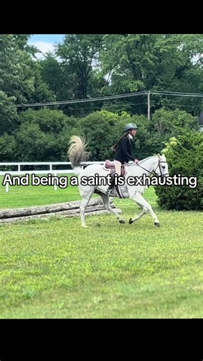 Eventing&Dressage W/ Elaina B. on TikTok