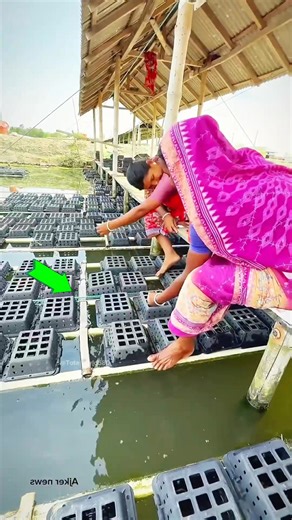 Asare Obed on Instagram: "Why are crab legs cut off?.."