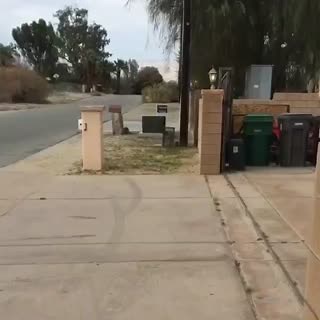 15K views · 1.9K reactions | Delmo Speed built C10 #MuscleKingz | MuscleKingz | Facebook