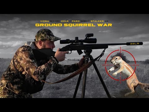 Ground squirrel WAR || Howa M1100 - 22LR || Pard Night stalker 4K