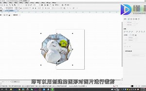 cdr中怎么裁剪图片？cdr中裁剪图片
