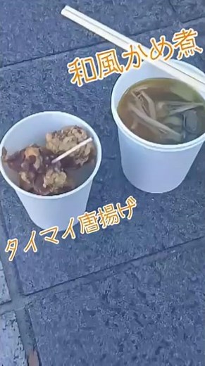 ウミガメ食べました 和風かめ煮 タイマイ唐揚げ