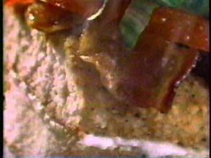 Burger King Commercial 1999