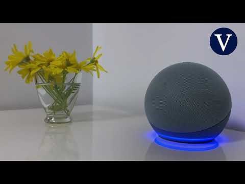 Alexa can make and receive calls