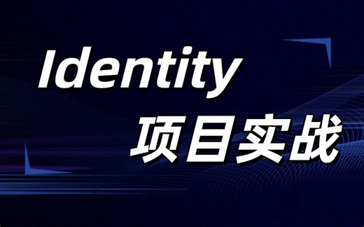 秒懂：.NET8【Identity】项目实战教学，企业级项目实战，全步骤实战演示。