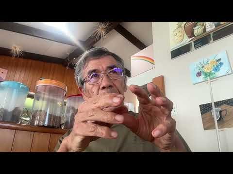 The ASH Family Tree — Memory, Mini-Companies, and the Next CAPD Cycle