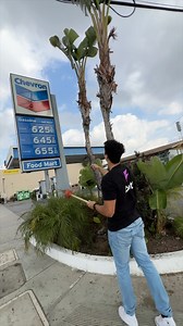 the ice cream was a nice touch | Plunger Papi