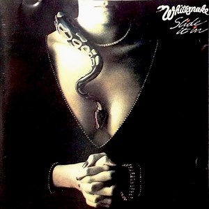 Whitesnake - Slide It In