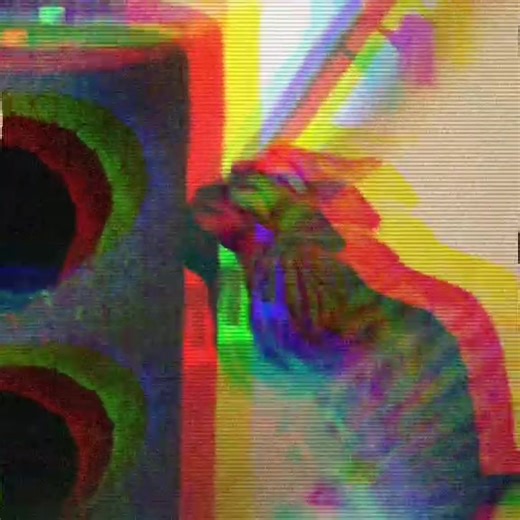 Tricky! #cat #cats #catdoingthings #catvideos #catsoftiktok #crazycat #sillycat