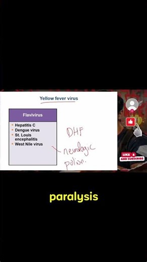 What Are Arboviruses The Mosquito Connection You Need to Know!