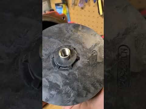 How To: Red Lion 2hp Irrigation Pump Impeller Remove & Replace | June 25, 2022
