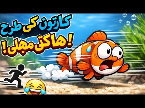 The Funniest Fish Moments Ever Caught on Camera in My Aquarium#trendingshorts #fish 