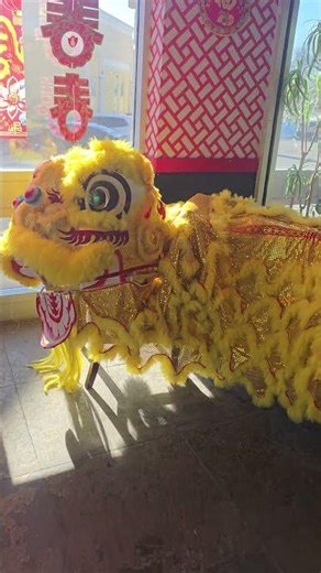 Chinese New Year's Decorations #helpmemakethismakesense