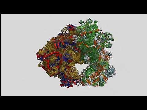 The fantastic journey of particles in an accelerator 2D/3D