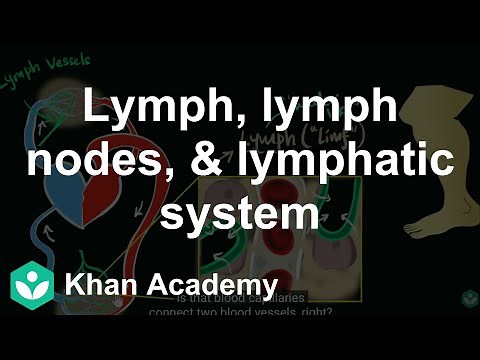 Lymph, lymph nodes, & lymphatic system | Life processes | Class 10 | Science | Khan Academy