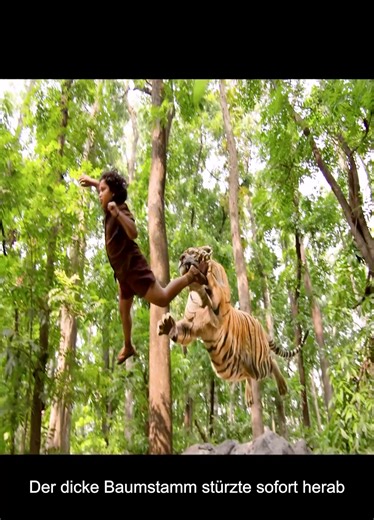 Film Erklärung: Eine tiefere Analyse eines Films