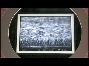 【奈米有多小？看個仔細！】國立科學工藝博物館－奈米科技影片