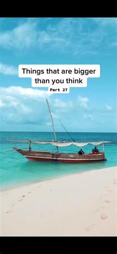 Massive Crab Encounter