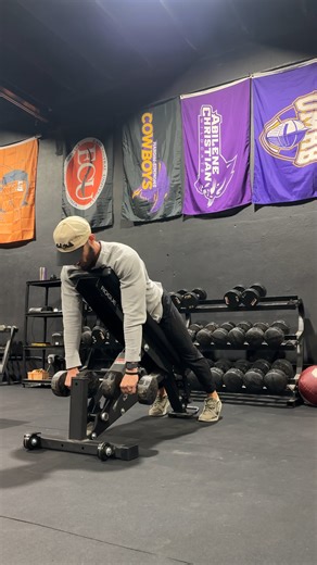 DB Chest Supported High Row