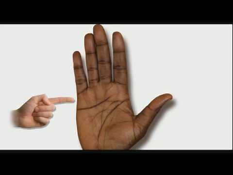 CHILDREN LINES Female Palm Reading Palmistry #100