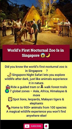 World’s First Nocturnal Zoo Is in Singapore 😱🌙