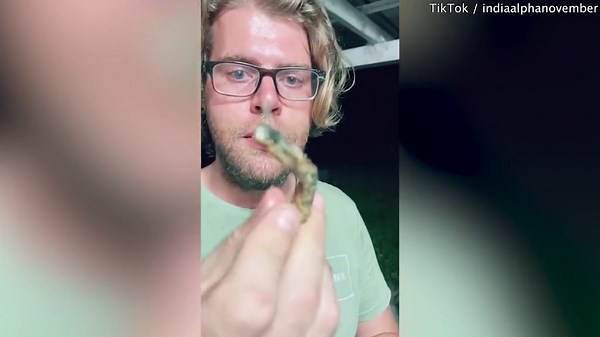 Viewers are left disgusted after man catches, cooks and EATS cane toad legs