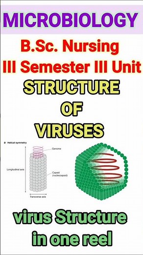 Structure of Viruses Explained | Nursing Microbiology | Easy & Exam-Oriented