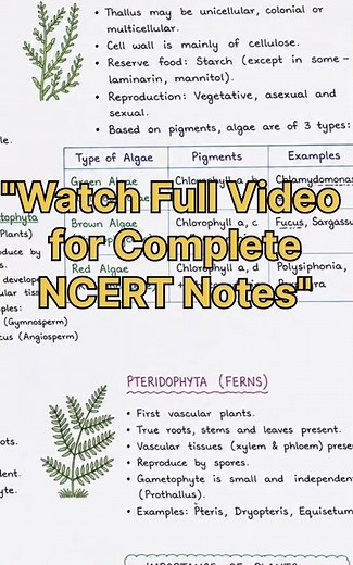 Class 11 Biology Chapter 1-4 One Shot Revision | Diversity in Living World | NCERT Notes | NEET 2027