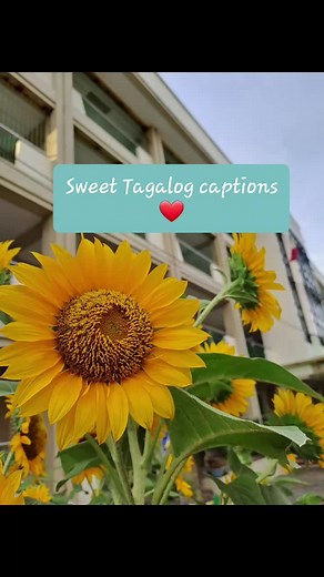 Sweet Tagalog Captions for Instagram