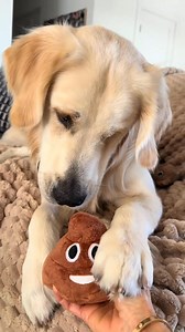 27 reactions |  Endless giggles for everyone—yes, even the pups! This talking poop toy turns playtime into a hilarious, laugh-out-loud experience for kids, adults, and furry friends alike. 藍 Perfect for family fun, pranks, and silly moments that never get old! | Slendern | Facebook