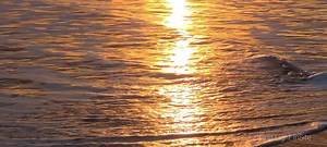 29K views · 598 shares | I posted a clip of this yesterday and everyone loved it, so I figured I would bring it back with this full wide angle video for Y'all! Love Y'all! ✌ | First Light InSite | Facebook