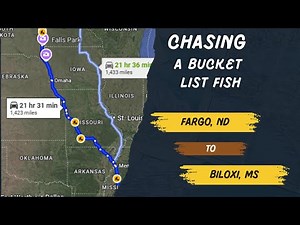 The Red Fish Adventure