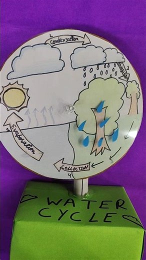 💧Water Cycle working Science Project/Model✨️DIY Science Project#trending #shorts #education #viral