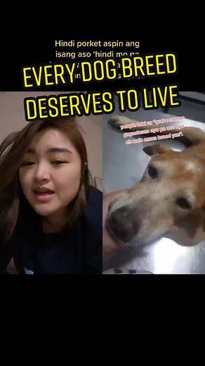 Deserving Healthy Lives: Every Dog Breed's Right to Health