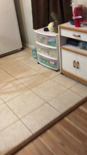 Kitchen Cleanup Tips: Managing Messy Scenarios