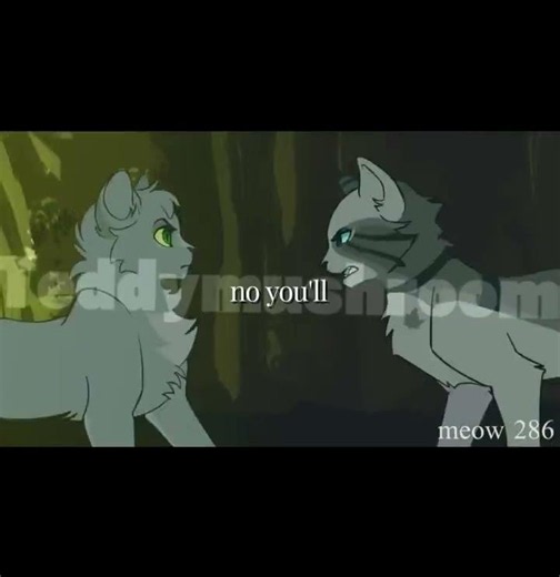 #IVYPOOL // #warriorcats #warriorcat #warriorcatedit #warriors #edit