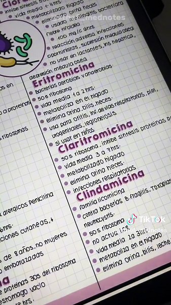 Apuntes digitales #ipad #apuntesdigitales #procreate #goodnotes #estudiantedemedicina #estudiantes