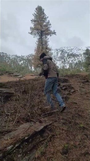 main marunga nahin #shots #motivational #youtubeshorts #nature #travel #trendingshorts #viralshort 🙏