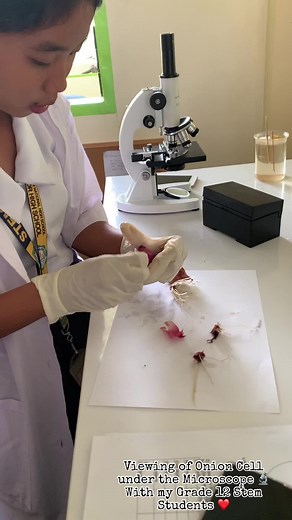 Viewing Onion Cell Under Microscope with Stem Students